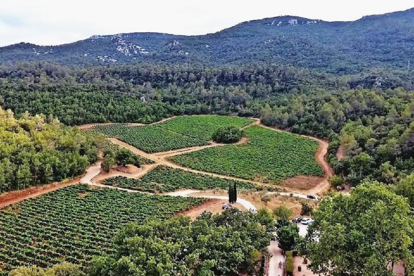 Wohnung in charmantem Haus auf Domäne - foto 12