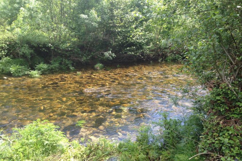 "Großmutters Häuschen" mit überdachter Terrasse - foto 42