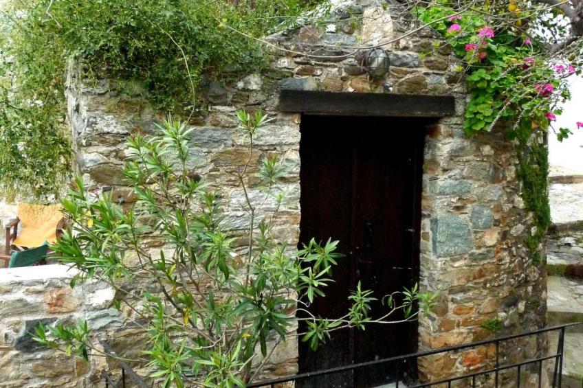 "Kyria Florenz" - foto 18