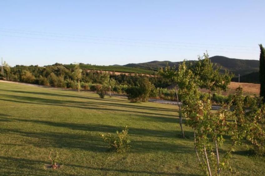 Haus mit Gartenblick - foto 39