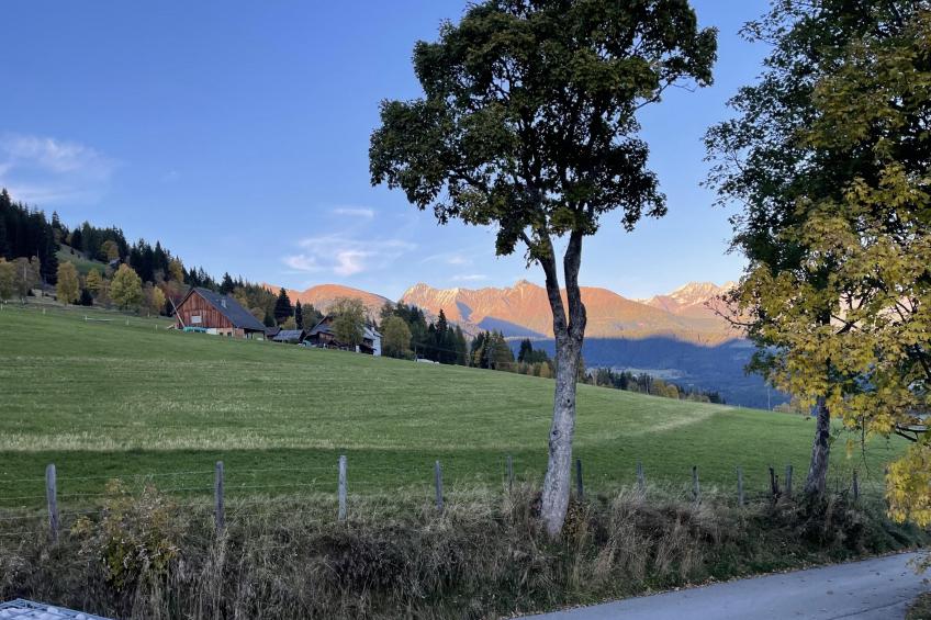 Lärchenhof Top 101 - foto 23