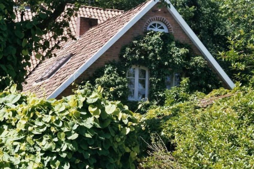 in ehemaliger Dorfschule am Dorfrand - foto 4