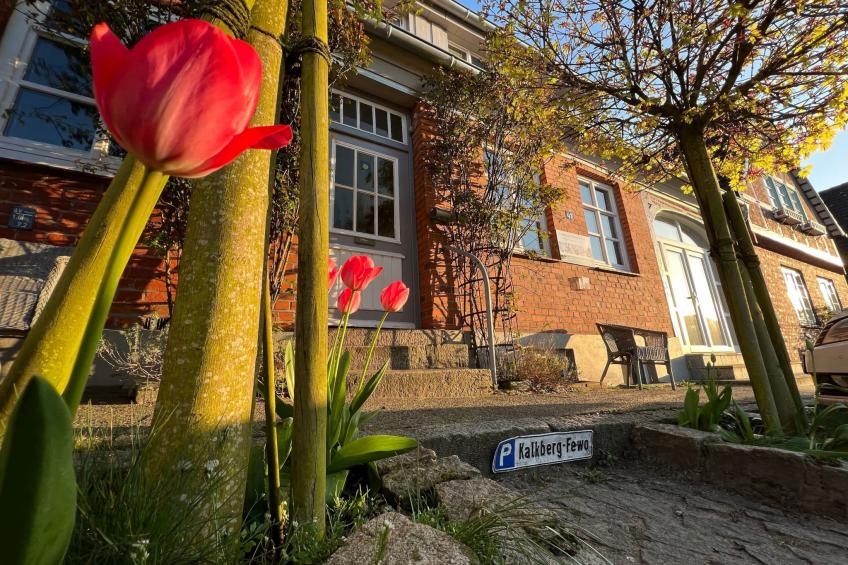 Wohnung in Bad Segeberg mit Terrasse - foto 15