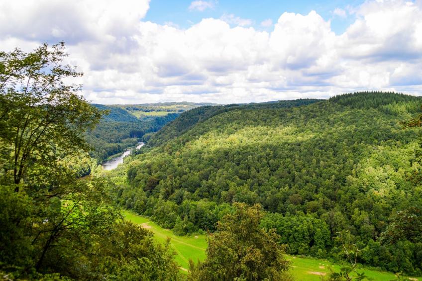 Au Coeur d'Alle - Triple Room with Bathroom - foto 29