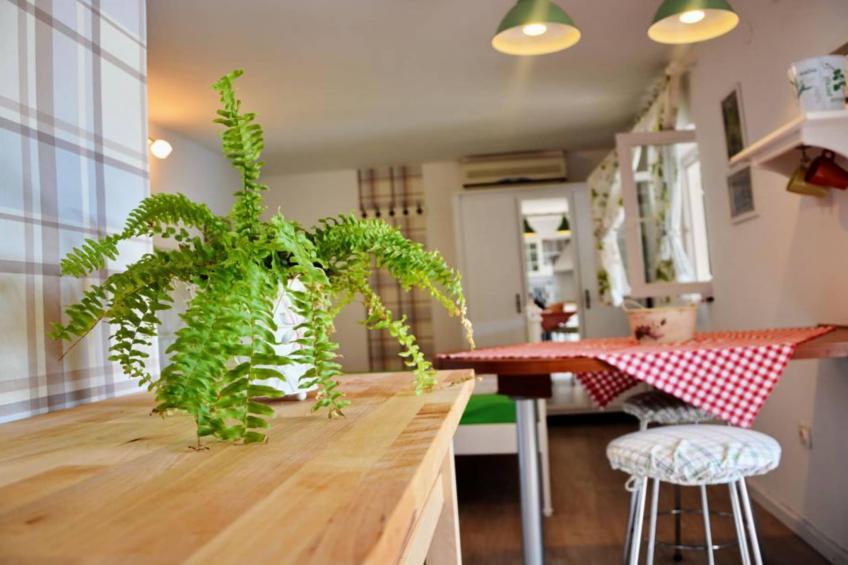 Studio (Ruzmarin) - foto 19