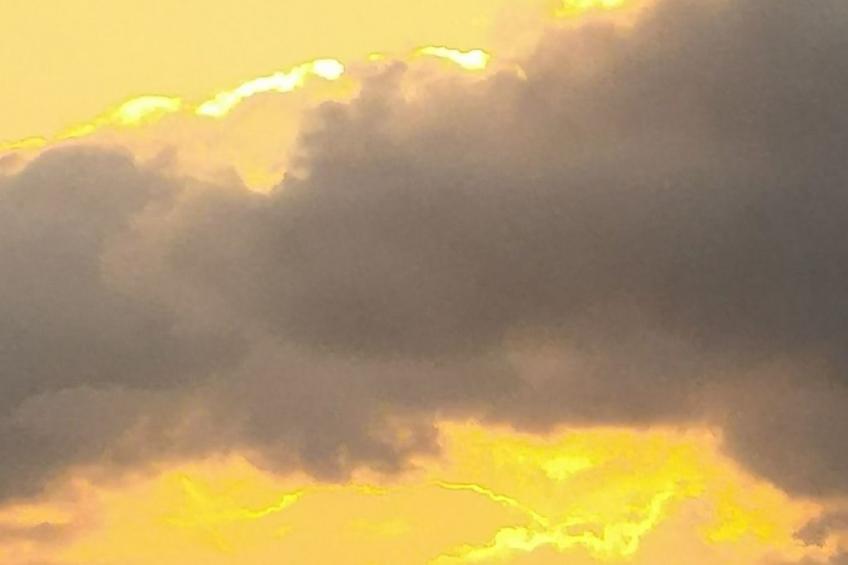 in Mellnitz mit Großem Garten - foto 39