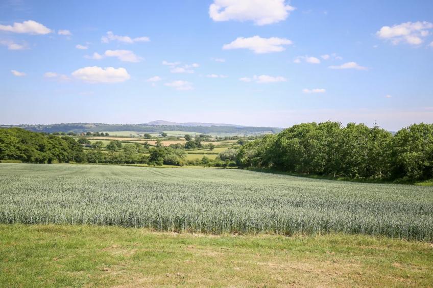 The Onibury - foto 28