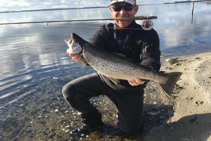 "Ady" - 150m from the sea in SE Jutland - foto 20