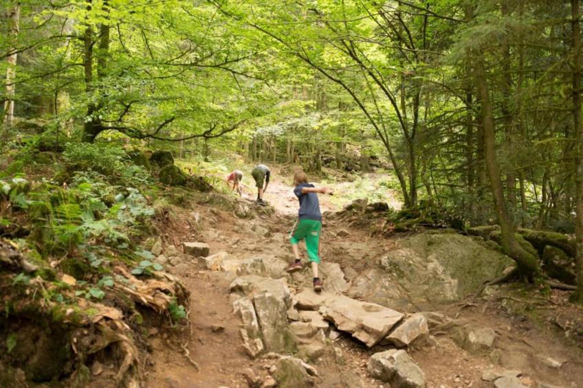 Domaine Des Messires 2 - foto 17