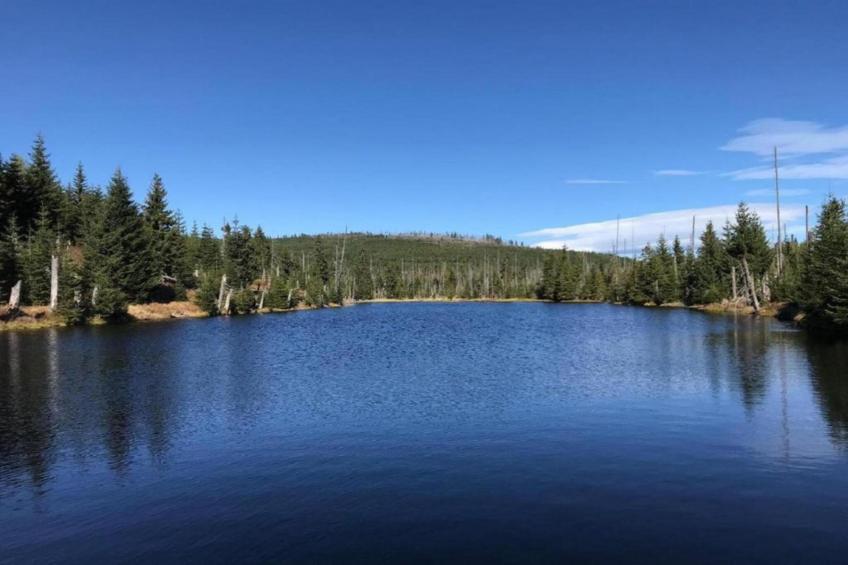 Holiday park Geyersberg Freyung-Appartement Typ A Standard - foto 29