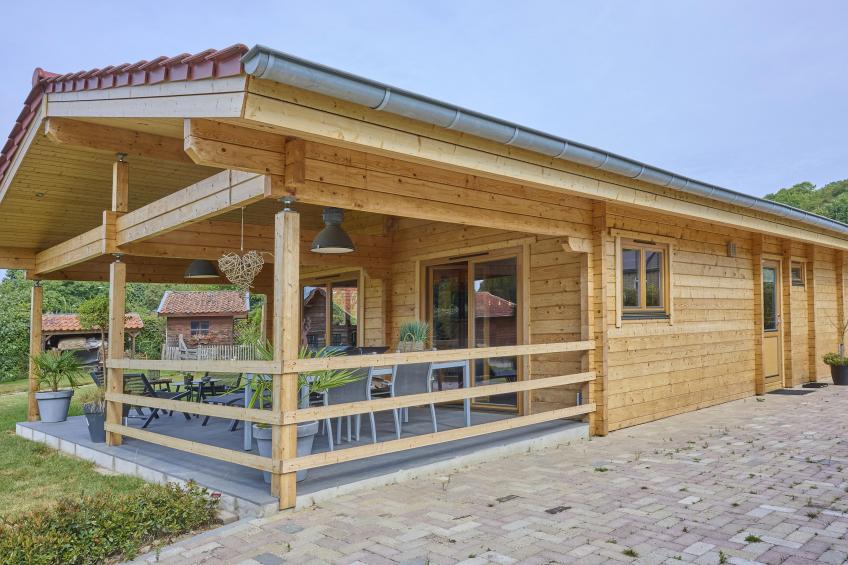 Bie Leentje op de Wei - foto 39