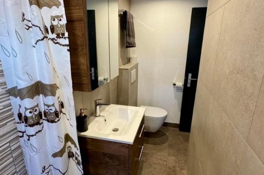 Brunni-Alpthal direkt an den Mythen-Bergen - foto 13