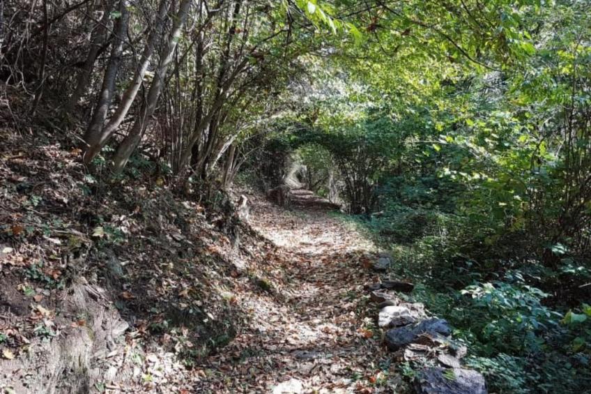 Casa Geissenstall - foto 8