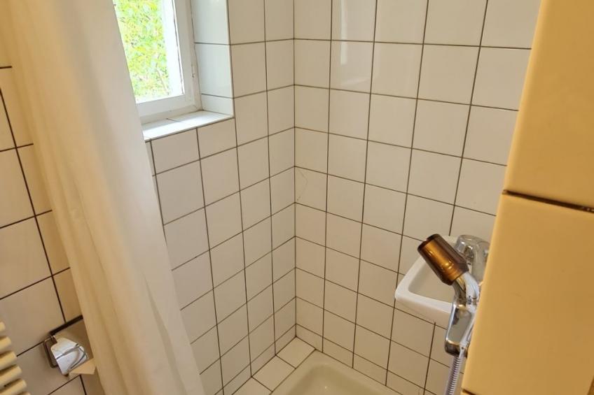 Bienenhaus Speicher - foto 12