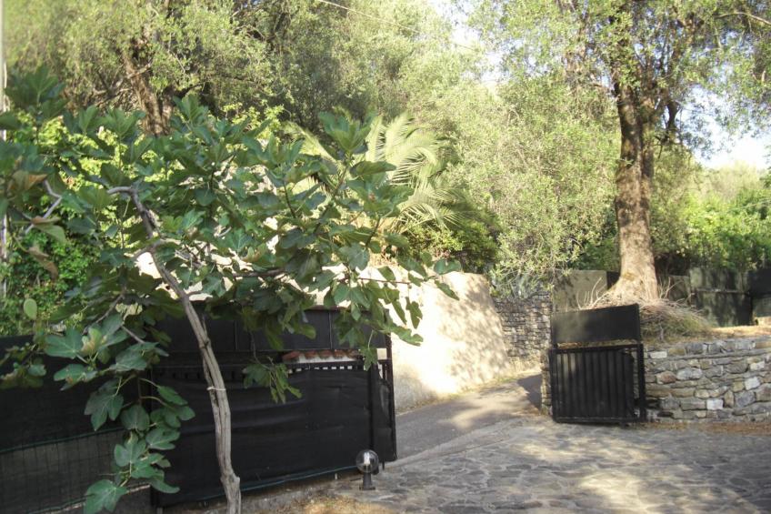 Appartement in Pisciotta mit Grill - foto 57