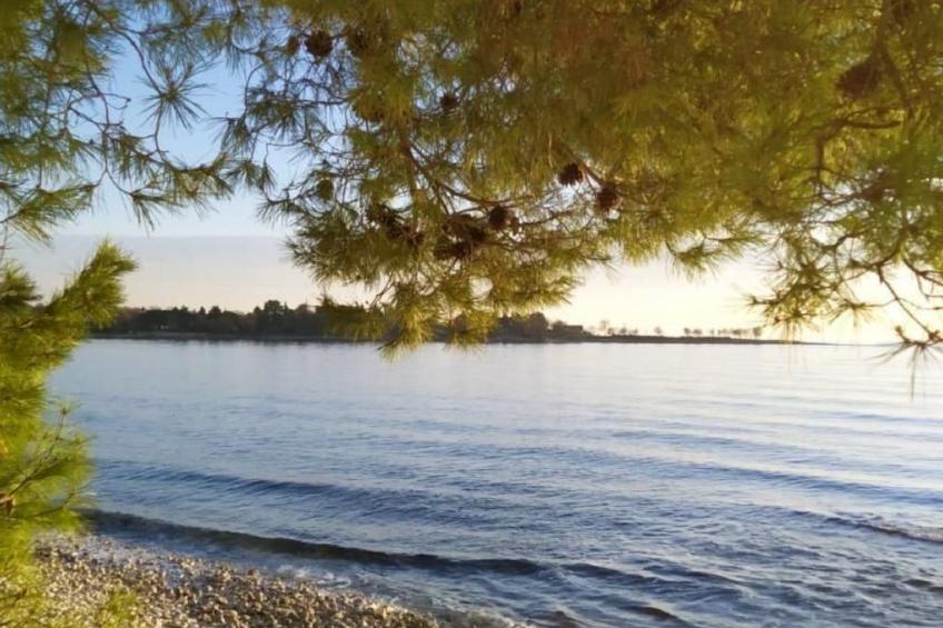 Große Wohnung in Babići mit Garten und Terrasse - foto 36