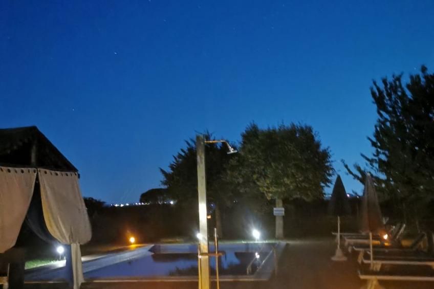 Die Maulbeerbäume auf dem Bauernhof - foto 19