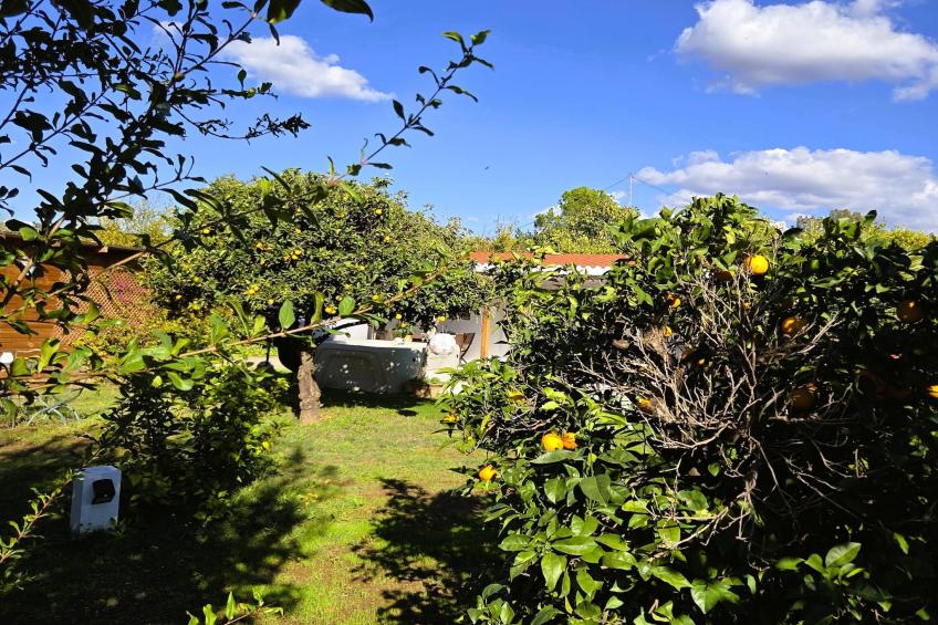 Casita Cartama - foto 9