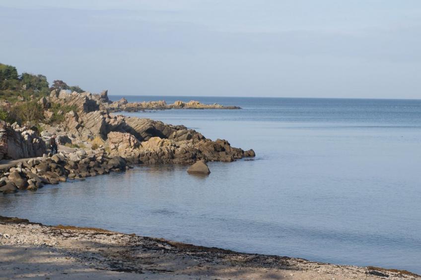 "Folki" - 300m from the sea - foto 6