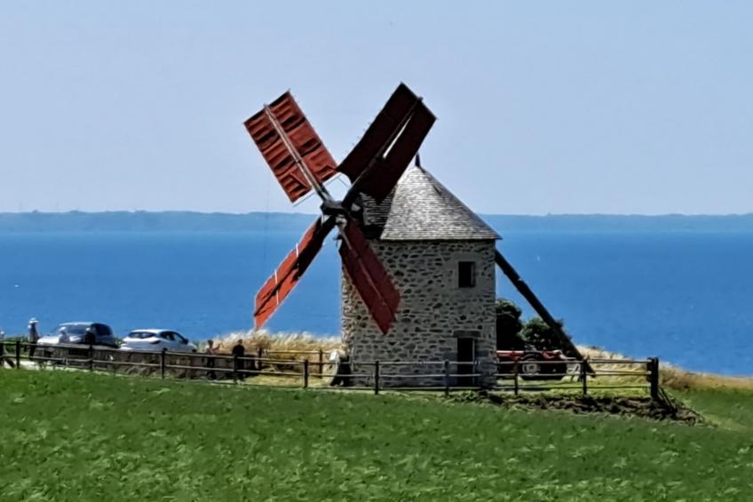 Doppelhaus in Telgruc sur mer - foto 21
