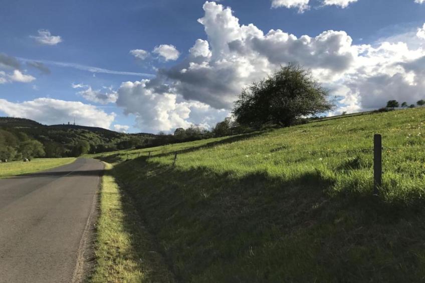 Ferienwohnung Apelt - foto 26