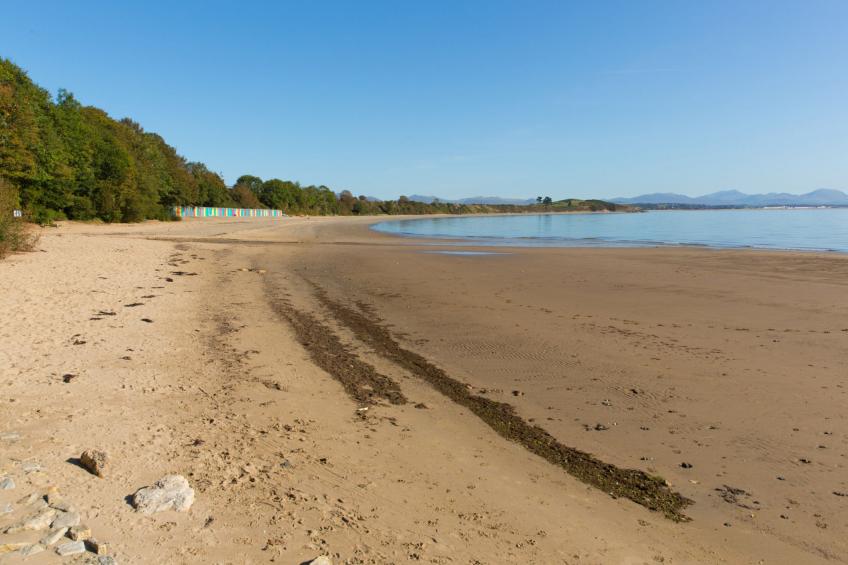 Peace Retreats - foto 16