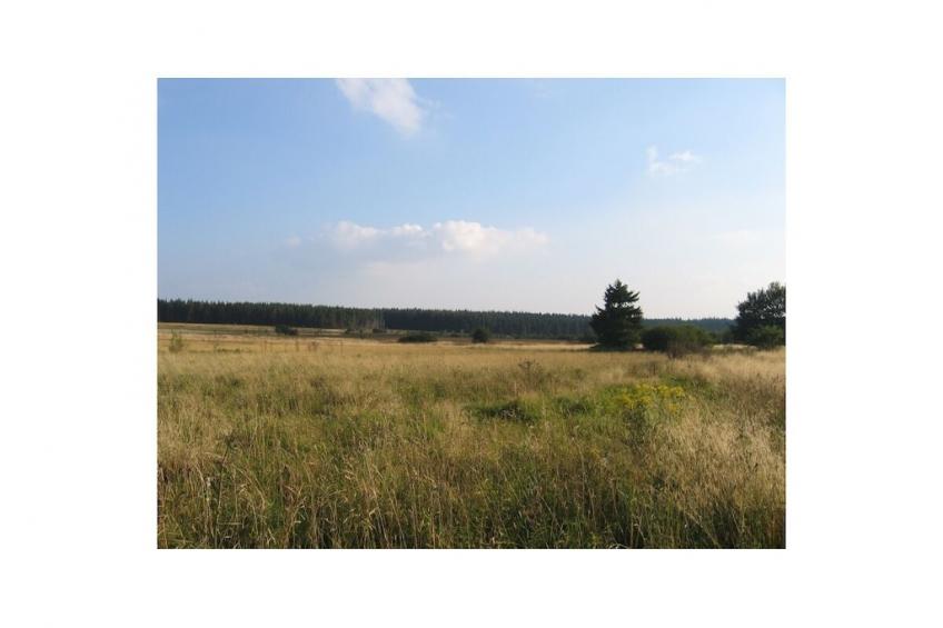 444726 - foto 23