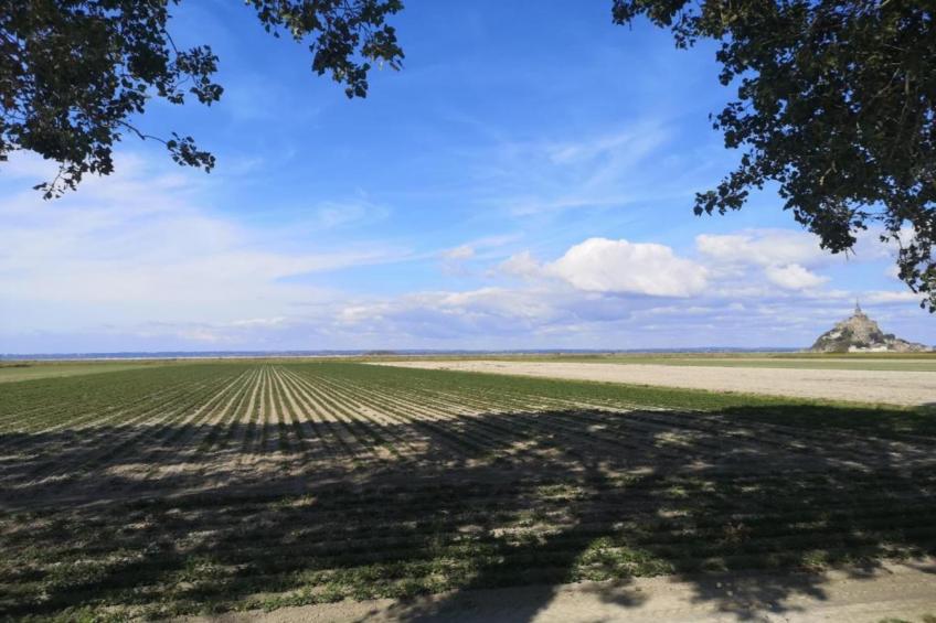 Le Domaine du Mont - foto 24