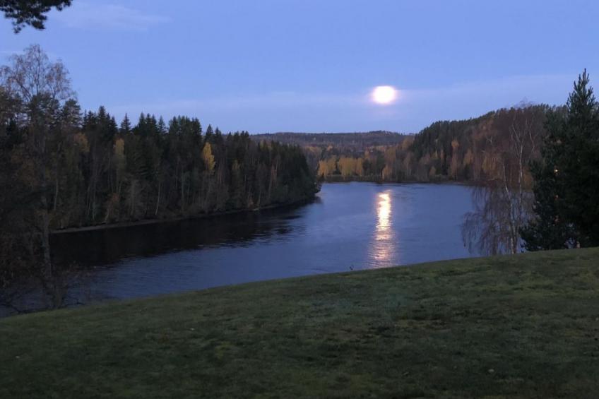 Solbacken Cottage und Lodge - foto 45