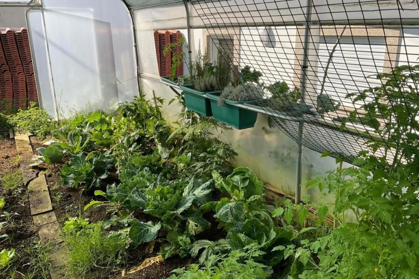 Casa da Guilheta - foto 35