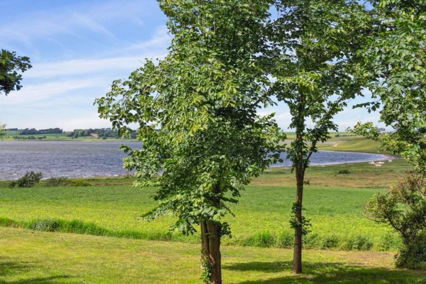 "Månviva" - 150m to the inlet - foto 5