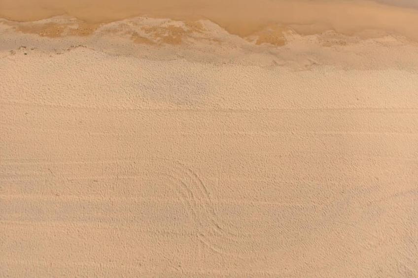 Studio à Platja d'Aro - foto 22