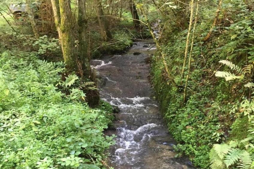 Pilmeroth 20 - foto 34