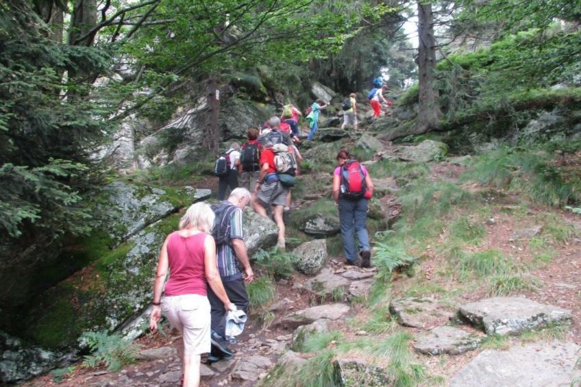 in Haschaberg mit Sonniger Terrasse - foto 23