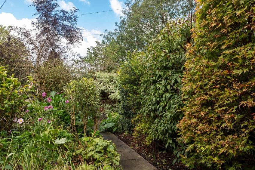 Garden Cottage - foto 21