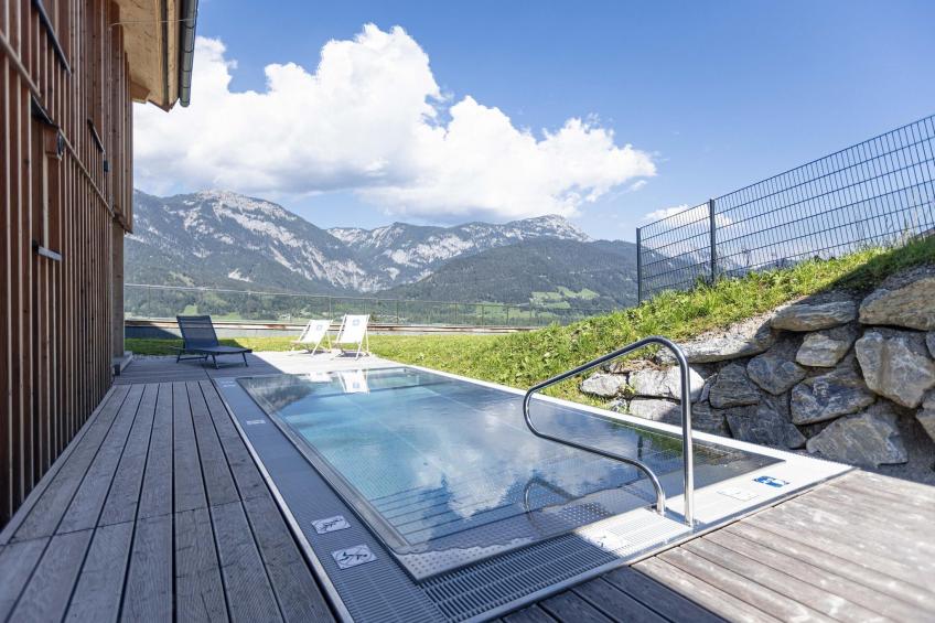 Premium Ferienhaus mit 4 Schlafzimmern Sauna & Pool - foto 4