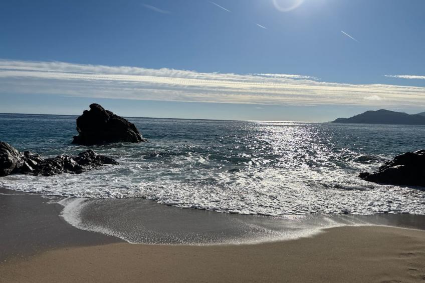 Résidence Palm Beach - foto 24