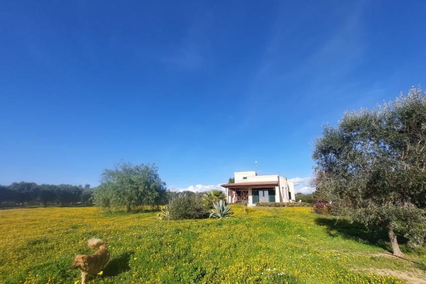 Villa Lona - foto 34