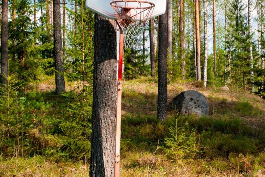 "Ruhmaslehto" mit Blick auf das Wasser - foto 50