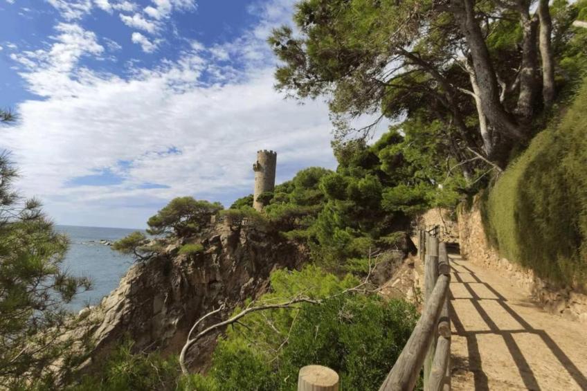 Villa Mas Artigues - foto 38