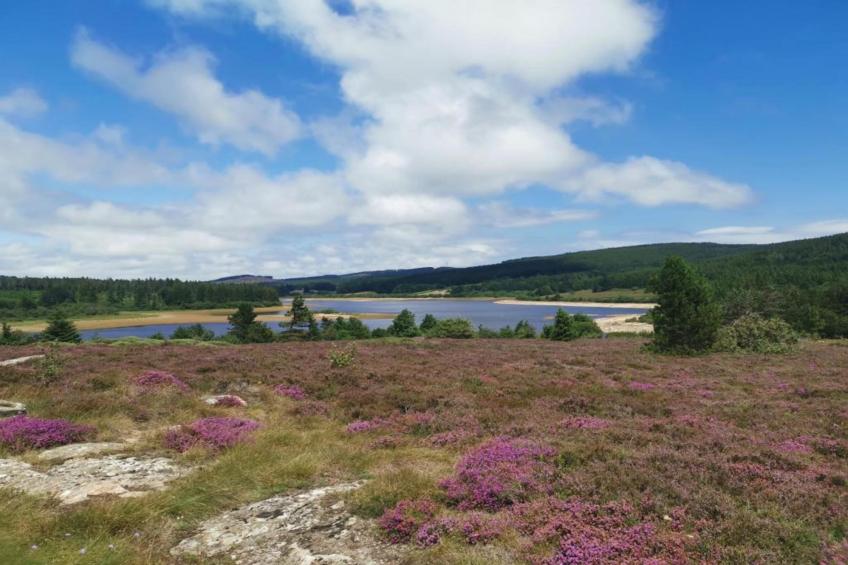 Domaine Courniou - foto 34