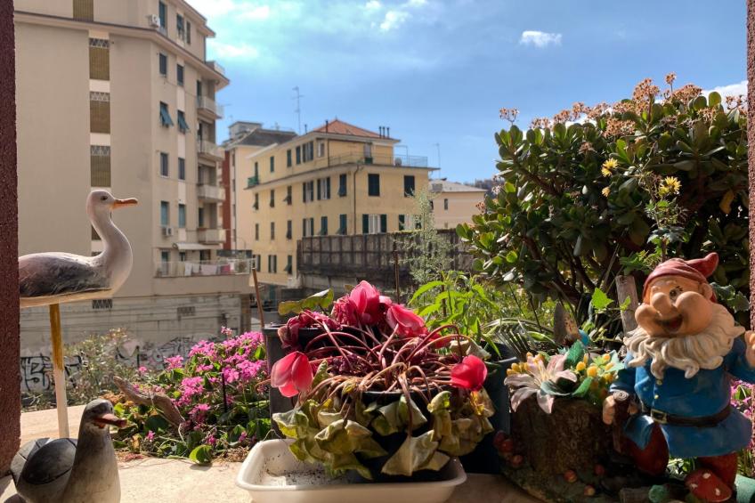 Wohnung 'Seagull House - foto 32