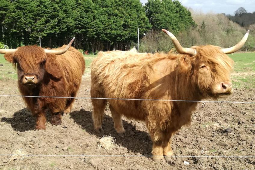 Pleine Nature in der Bretagne - foto 48