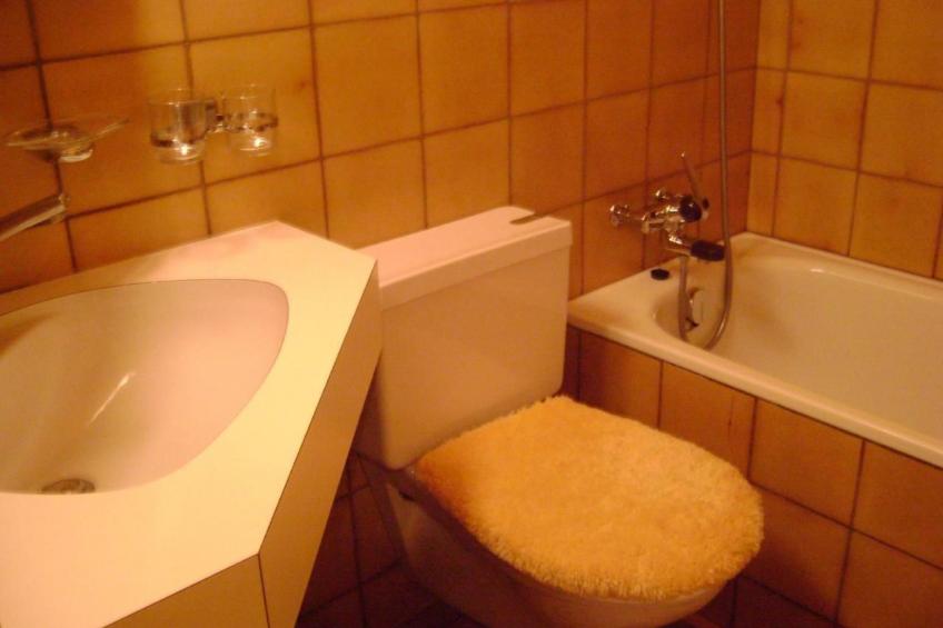 Wohnung Hirschi - foto 7