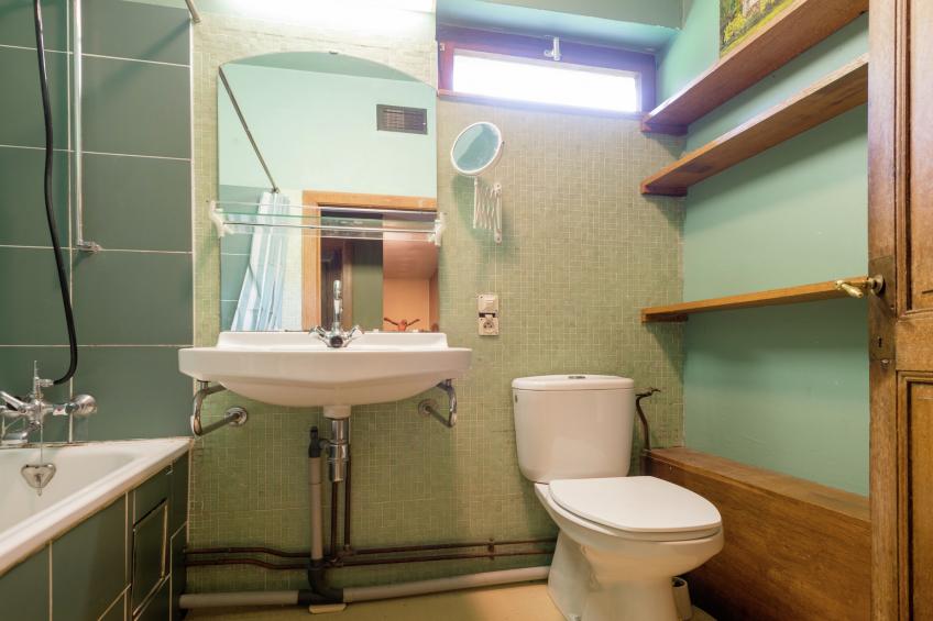 Red Hazels - foto 19