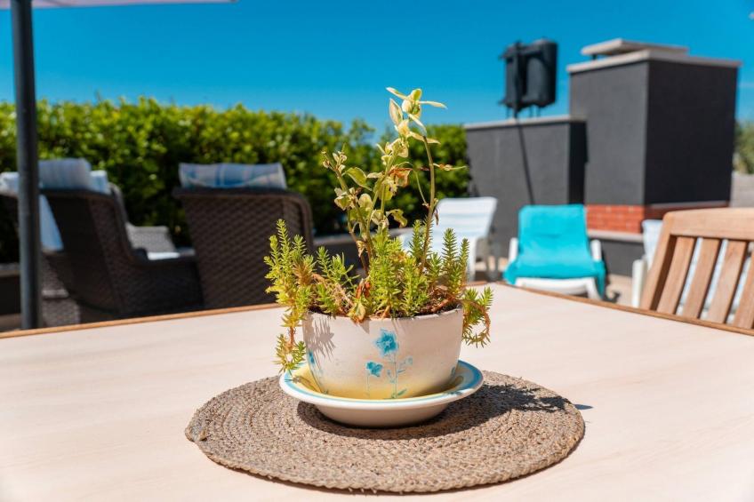 Beach house Festini - foto 49