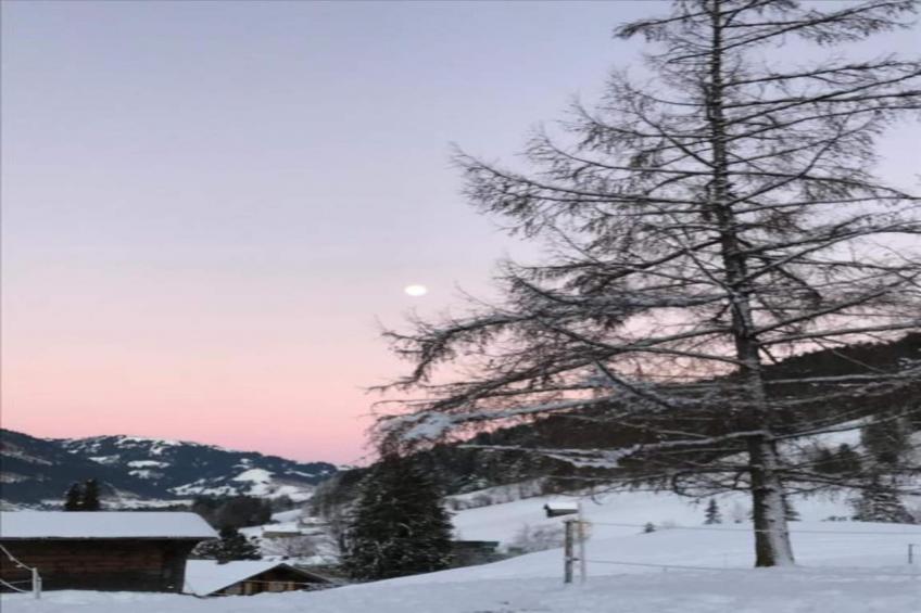 Divine Gstaad Chalet In Pure Elegance - foto 34