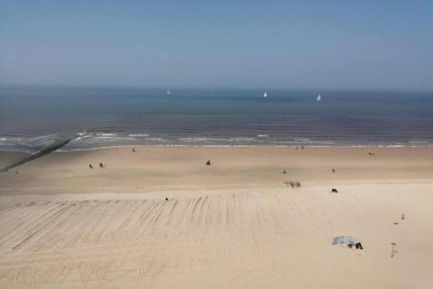 La Frégate - foto 35