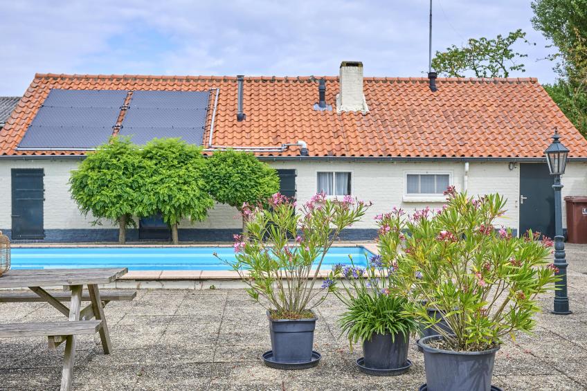 De Vrije Vogel - foto 44