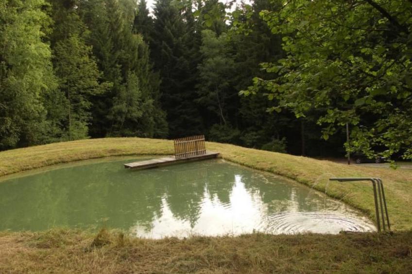 Quellenhof Kollnburg - foto 5